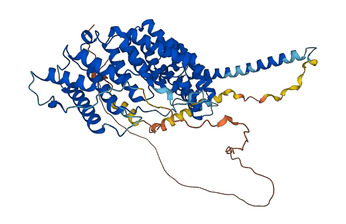 PPP2R5D 3D structure