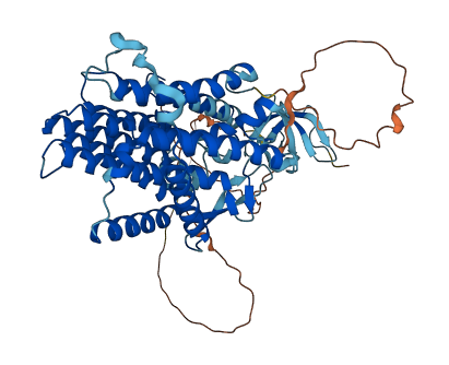 LBR 3D structure