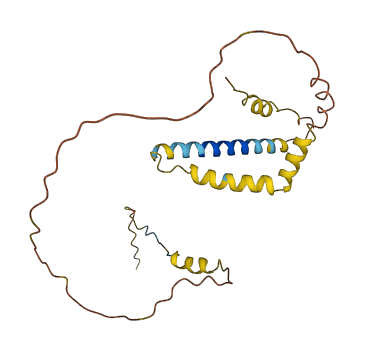 PTPRCAP 3D structure