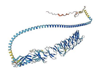 MVP 3D structure