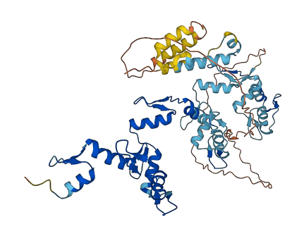 ZNF846 3D structure