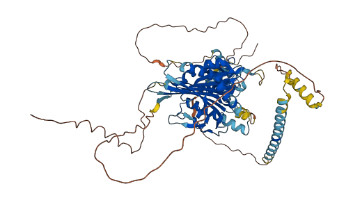 KIF22 3D structure