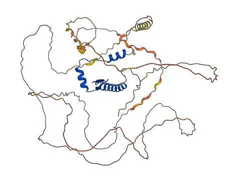 MEF2D 3D structure