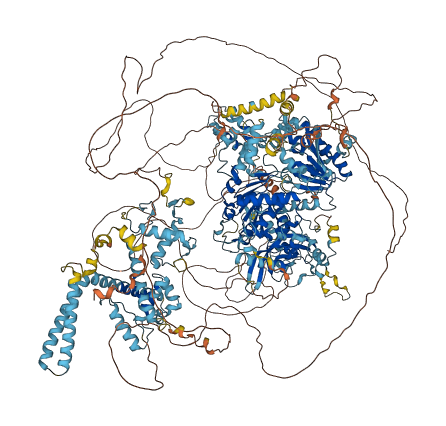 CHD4 3D structure