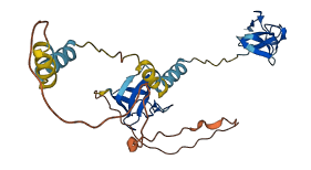 LASP1 3D structure
