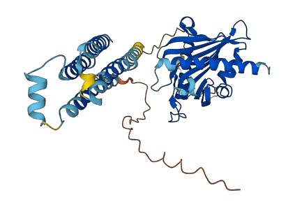 STARD3 3D structure