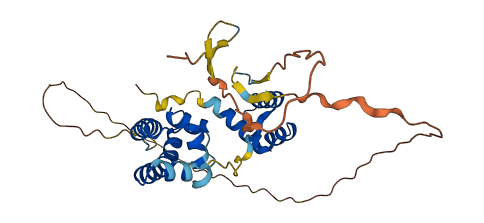 POU6F1 3D structure