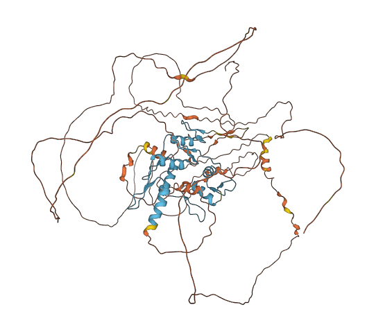 MTF1 3D structure