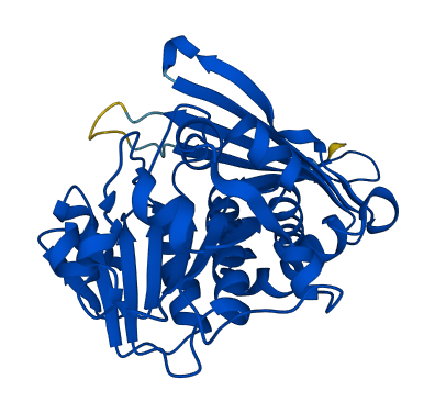CRYM 3D structure