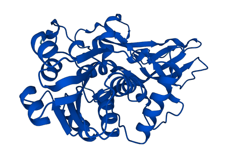 PTGR1 3D structure