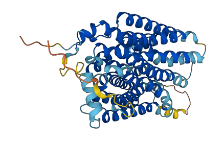 SLC17A1 3D structure