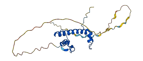 DRAP1 3D structure