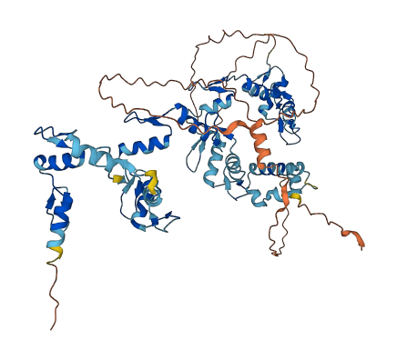 ZNF169 3D structure