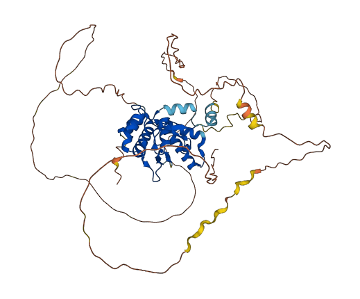 NFIX 3D structure