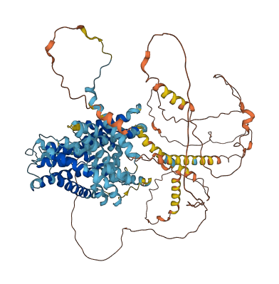 SLC9A5 3D structure