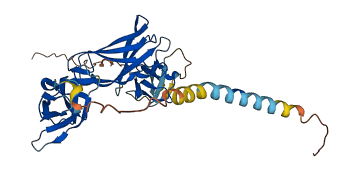 KIR3DS1 3D structure