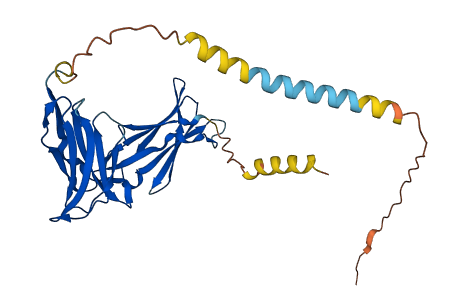 KIR2DS3 3D structure
