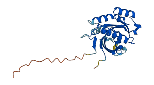 RAB39A 3D structure