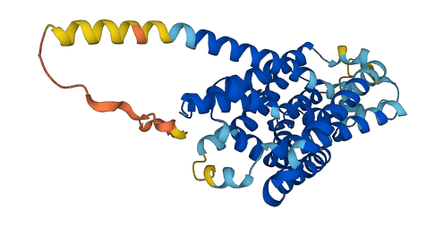 SLC10A1 3D structure