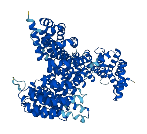 KPNB1 3D structure