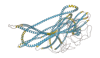 NUMA1 3D structure