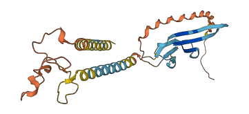 ODF1 3D structure