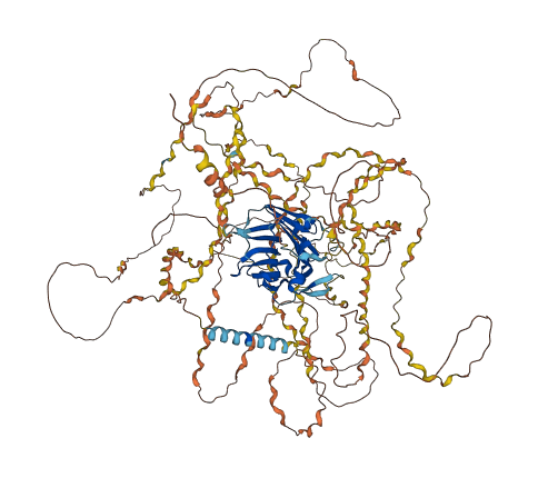 COL19A1 3D structure