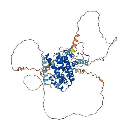 NR1D2 3D structure