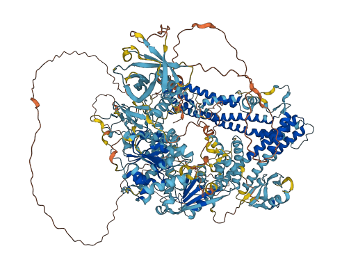 SHPRH 3D structure