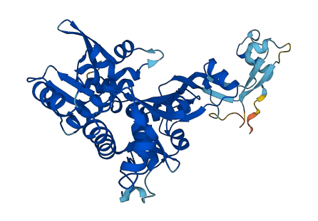 DSCC1 3D structure