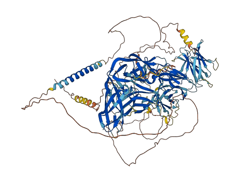 TMEM132D 3D structure