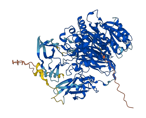 CLCA4 3D structure