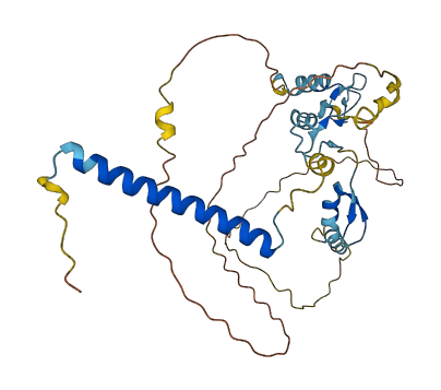 ATXN7L3 3D structure