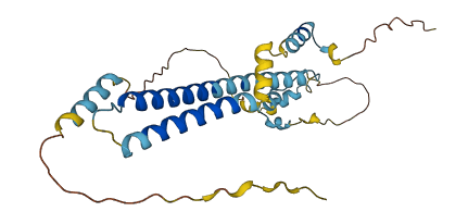 C16orf72 3D structure