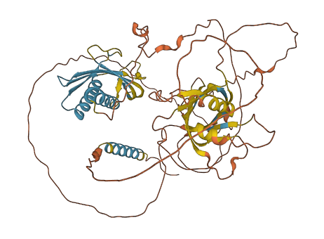 RTP5 3D structure