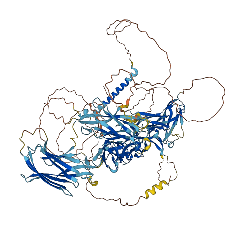 TMEM132B 3D structure