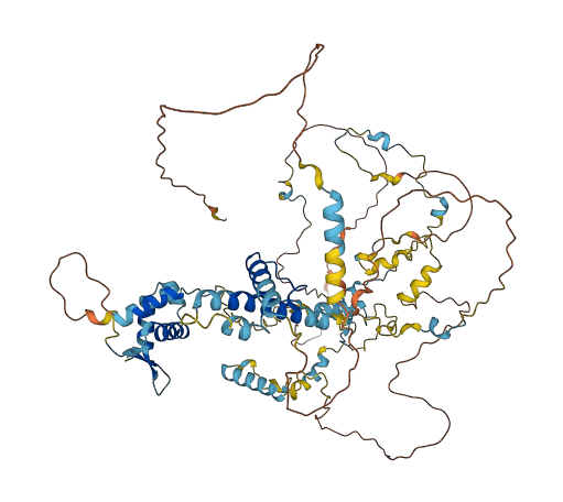 NCAPH 3D structure