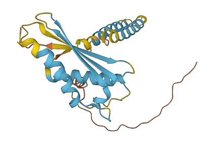 SPCS2 3D structure