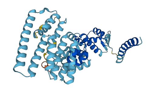PSMD6 3D structure