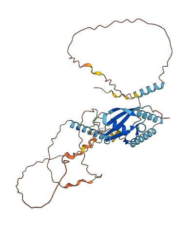 HERPUD1 3D structure