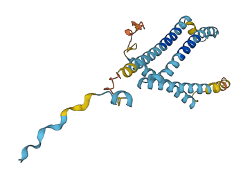 LAPTM4A 3D structure