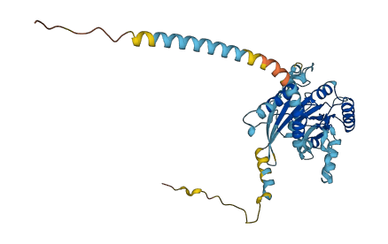 SEPTIN2 3D structure