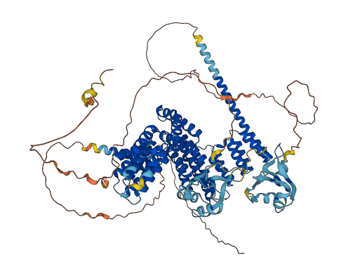 SART3 3D structure