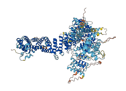 NCAPD2 3D structure