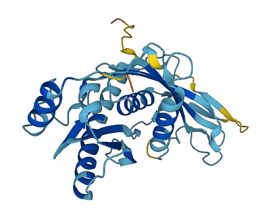 EXOSC7 3D structure
