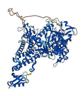 LARS2 3D structure