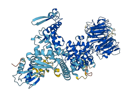 HERC3 3D structure