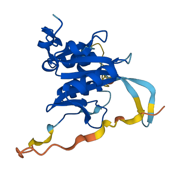 JOSD1 3D structure
