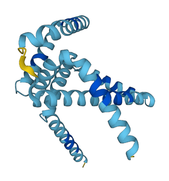 ARL6IP1 3D structure