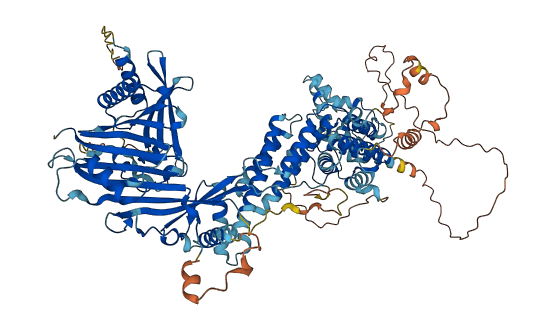 RAB3GAP1 3D structure